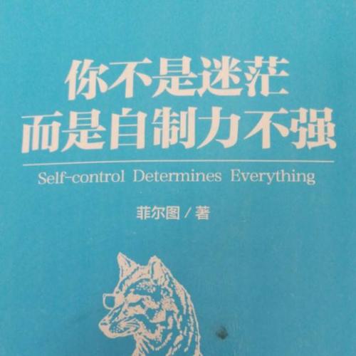 你不感到困惑，你的自制力不强