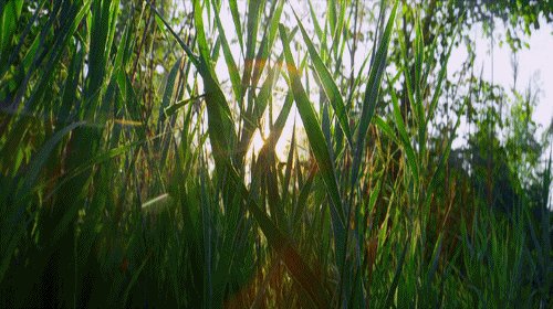 在逆境中，您也可以朝上走