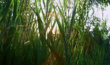 身处逆境，也可以走出一条向上的路来