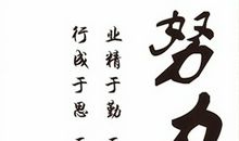 选择不是最重要的，努力才是