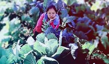 梦想，注定是孤独与痛苦的旅行