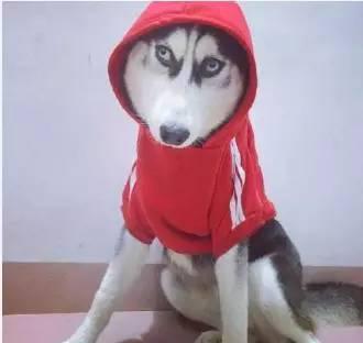 即将被遗忘的中国古老规则-这就是教育