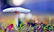 世界正在奖励早起的人