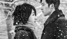 后来，你向这个世界认输了吗？