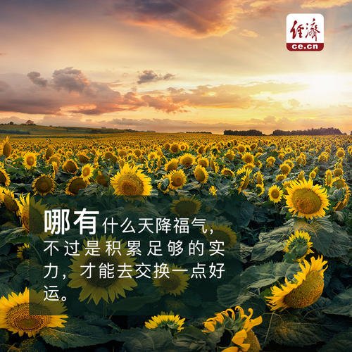 可以生存,出色;无法生存,滚蛋