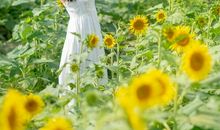 有没有阳光温暖过卑微的你