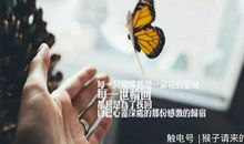 失意时苦练内功，得意时努力绽放