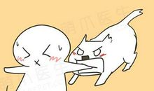 首先你得承认世界上有全面超过你的人