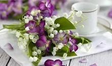 经典语录：现在事，现在心，随缘即可；未来事，未来心，何须劳心