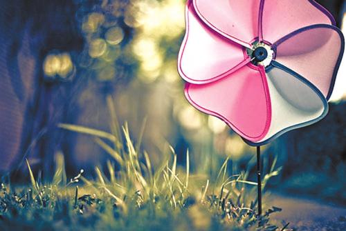 经典语录:不管记忆有多漂亮,它又能再做一次吗?