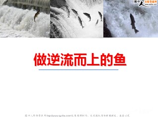 成为上游的鱼