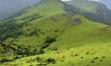 春节，乡愁弥漫的期待