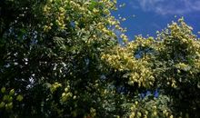 幸运，从来都是强者的谦辞