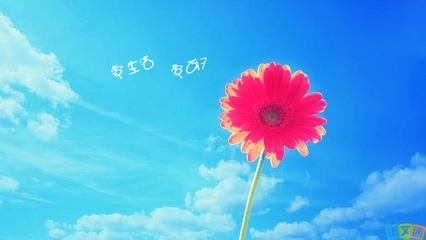 你怎么能不紧咬牙满足希望的曙光