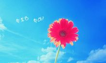 不咬牙坚持怎么会遇见希望的曙光