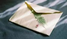 有一种修养，叫做三不说