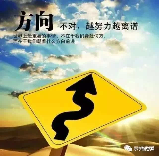 你为什么不努力过舒适的生活