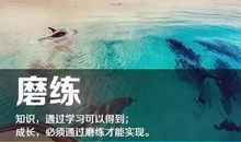 不要成为实现梦想的机器