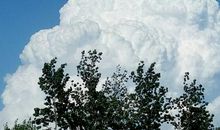 放容一笑胜千金