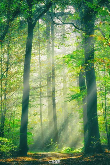 一直朝着太阳的方向走