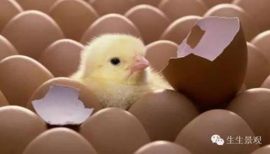 不要让自己受到努力的委屈