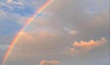 只要不曾后退，慢一点又何妨