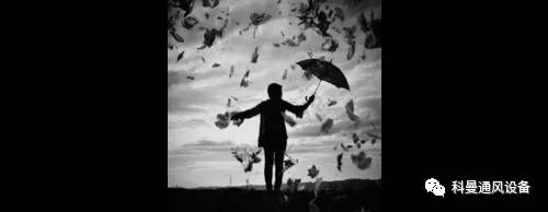 不要太精通，也不要傻。