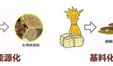 痛苦是成长的最佳燃料