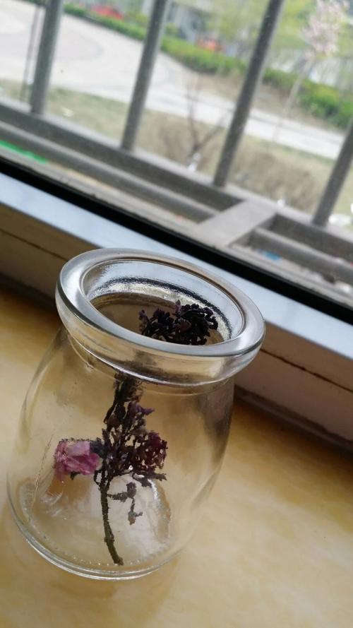 传说中的幸运青年一直属于别人