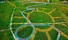 远去的，是我们的前生，走来的，是我们的后世