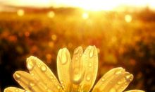 不是让自己痛苦，就是让自己坚强，花的力气，其实相同