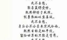 我不去想是否能够成功