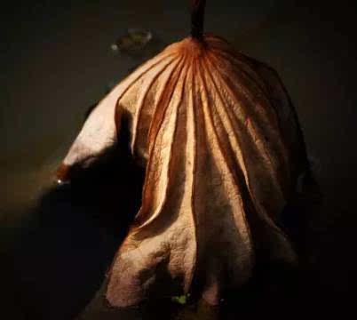 疼痛是人类成长的最大动力