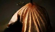 痛苦才是人成长的最大动力