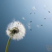 生活是为自己哭泣，为别人笑