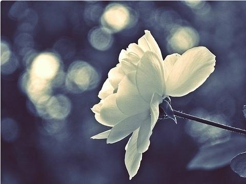 痛苦是最好的成长