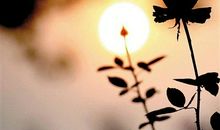 你的生命，还剩下多少黄金时段？