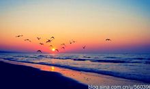 只要还有明天，今天永远都是起点