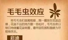 十则黄金定律，摆脱“穷忙”人生