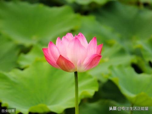 坚持一件事30天（效果惊人）