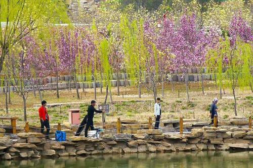请给您的孩子这十项重要的品质，胜过十所房子