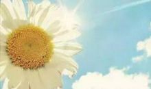 情商高的人不说四种话