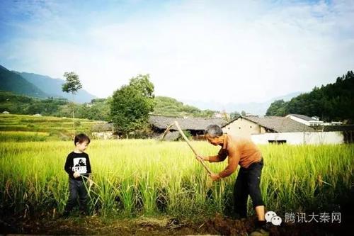 每个人都有别人羡慕的东西