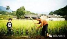 每个人都有别人羡慕不已的东西