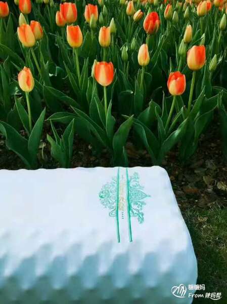 董青的遗憾:不要切断通往高贵孩子的道路