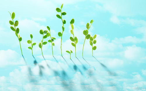 关于在水上乐园玩乐的句子