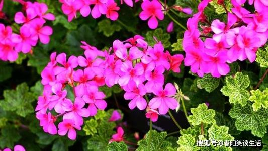 让人哭泣的句子，我越看越担心