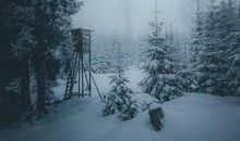 令人心酸落泪的句子，总有一句触动你！