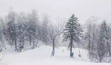 能上北大，是因为我从没放弃过自己