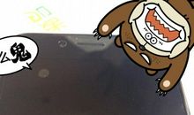 你要用心记下每一次你是怎样狼狈的倒下